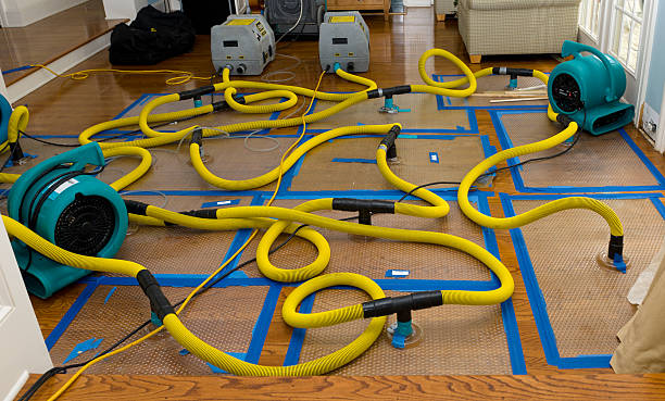 Professional Basement Flood Cleanup technician working in Ingleside, TX